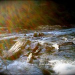 What is Beauty? Plato, Beauty, and Knowledge