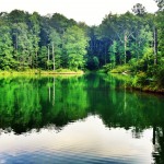 Bonita Lakes